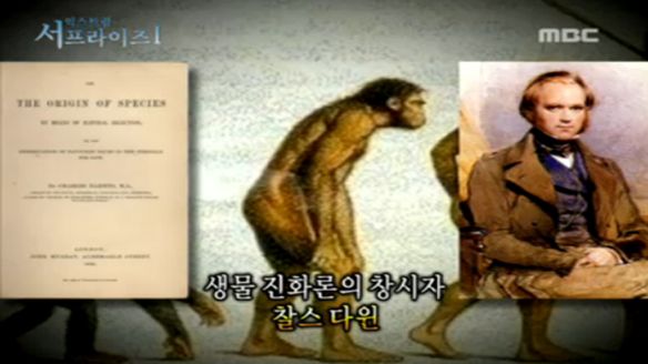 신비한 TV 서프라이즈 488회